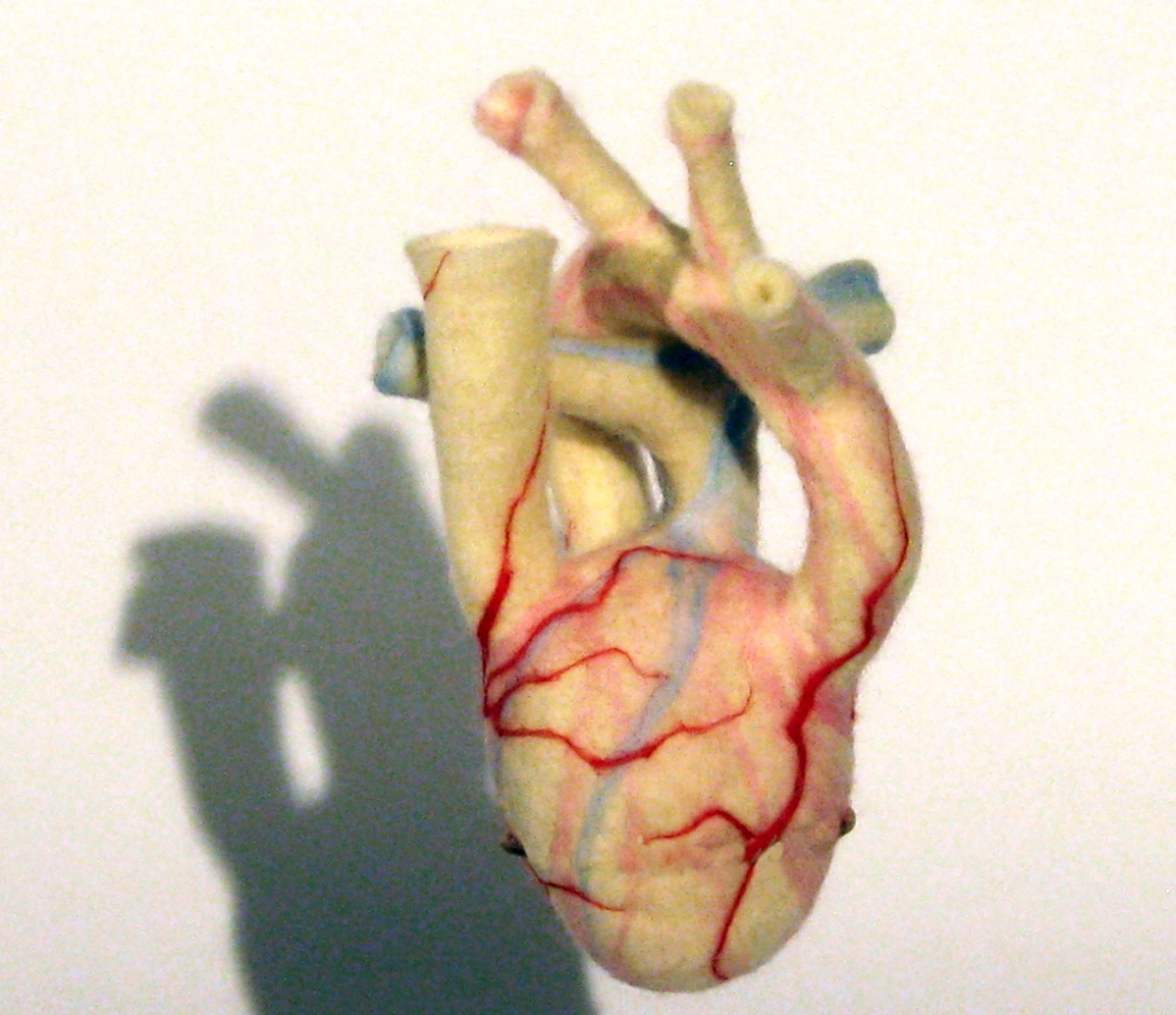 Heartfelt, needle-felted wool (2014), $4000