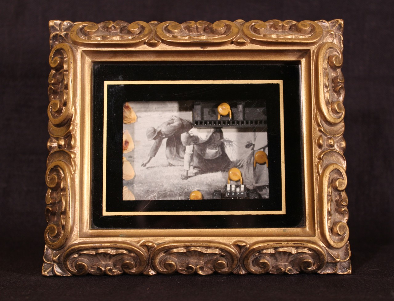 Jennifer Acus-Smith, Invasion, mixed-media assemblage (2011)