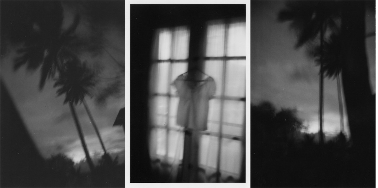 Photography by Aimie Willhoite, Tropical Triptych (2002)