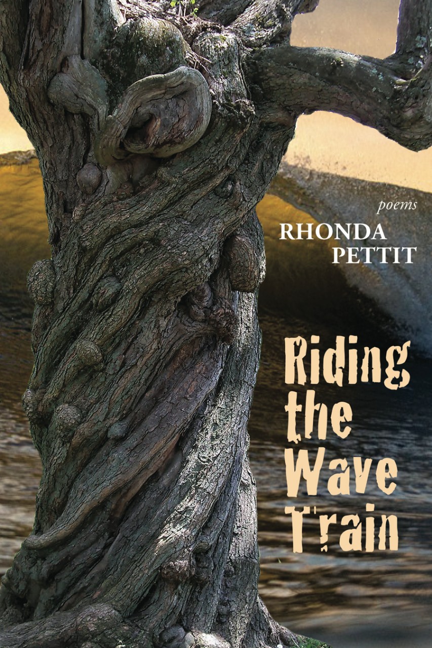 Cover of the book "Riding the Wave Train" by Dr. Rhonda Pettit.