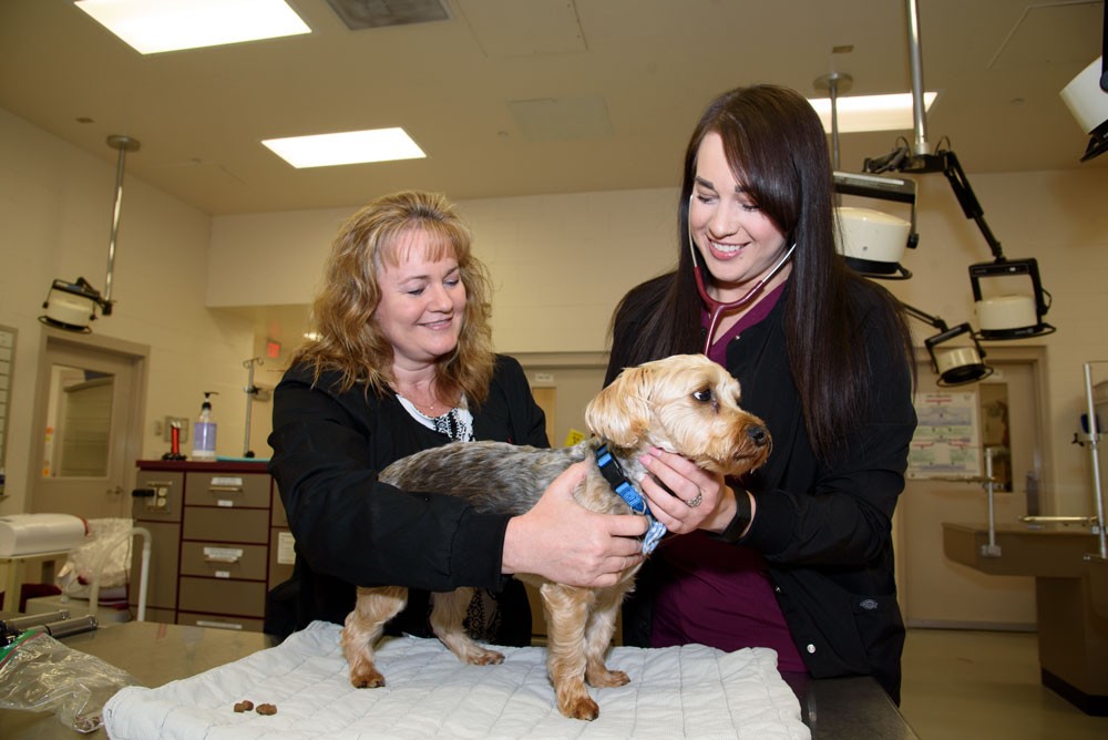 Professor Jennifer Wells working with a student and a puppy